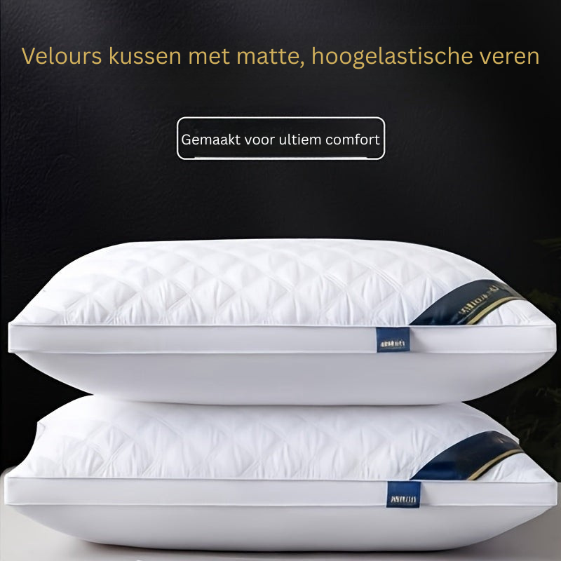 Hotel Comfort Pillow Set - 2 Hypoallergenic 3D Pillows